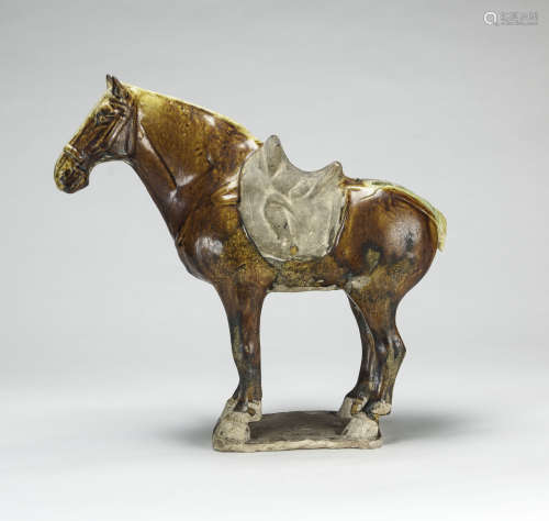 Tang Dynasty - Sancai Horse - (With Certificate Of Oxford Authentication LTD)