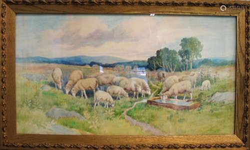 Sheep in a New England Field Water Color Painting by Lillian Marie Parker