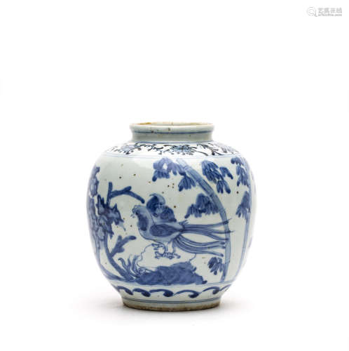 Chinese Blue and White Jar, Ming Period