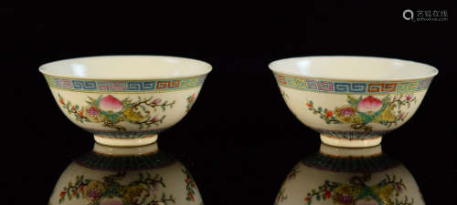 Pair Chinese Famille Rose Porcelain Bowl with Kuanshu Mark