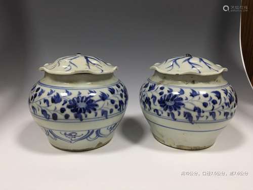 Pair of Chinese Blue/White Porcelain Cover Jars