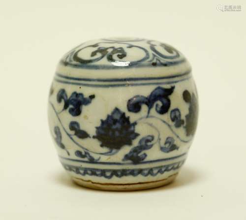 Chinese Blue/White Porcelain Water Dropper