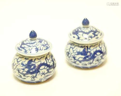 Pair of Chinese Blue/White Mini Jars