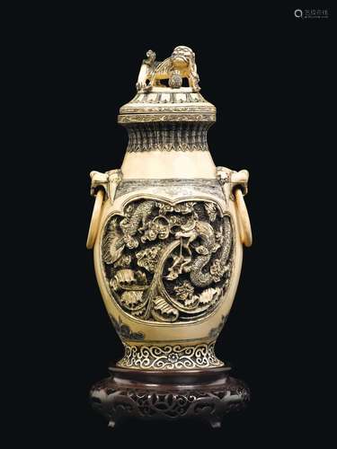 A carved ivory vase and cover with ring-handles and dragons within reserves, China, Canton, Qing Dynasty, 19th century