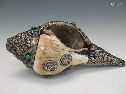 Antique Tibetan Buddist Whelk