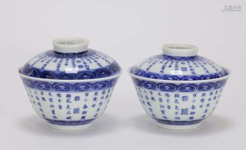 Pair of Chinese Blue/White Porcelain Bowl