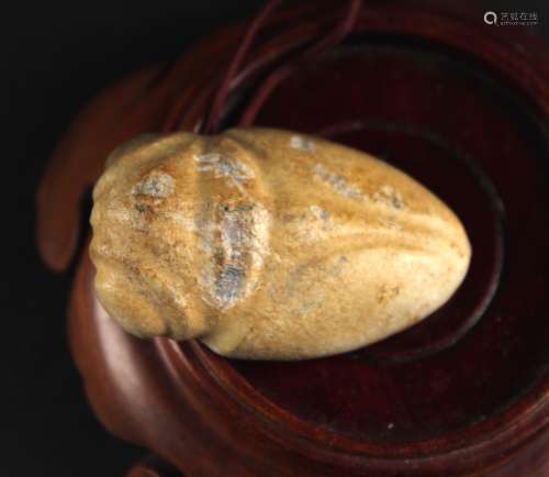 Ancient Jade Carved with Cicada Pendant Han Dynasty Period