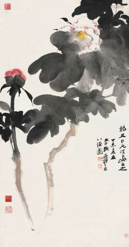 张大千 丁未（1967）年作 牡丹 镜片 设色纸本
