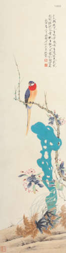 于非闇 1938年作 五色鹦鹉 立轴 绢本设色