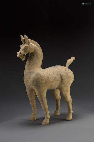 A large Sichuan gray pottery horse Han dynasty