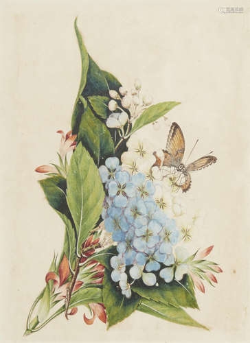 Attributed to Tingqua (Mid-19th Century) Flowers and Insects