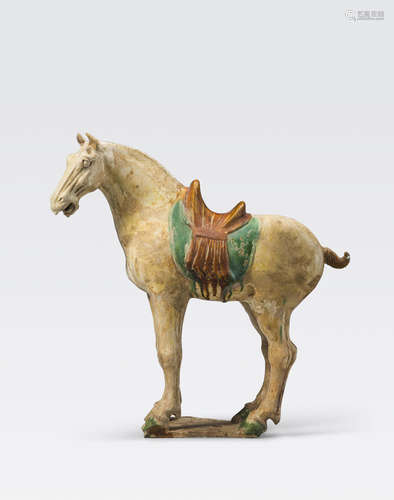 A sancai glazed pottery horse Tang dynasty