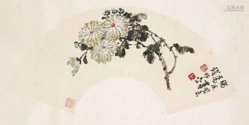 钱松喦 （1899-1985） 秋菊 设色纸本 扇面