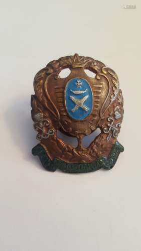 Imperial Russian Bronze Enamel Badge
