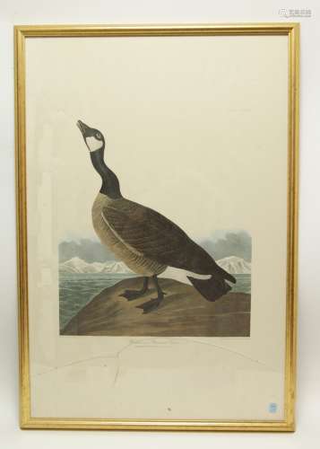 1835's Anser Hutchinsh Print