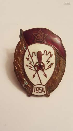 Russian Soviet 1954 Badge Bronze Enamel