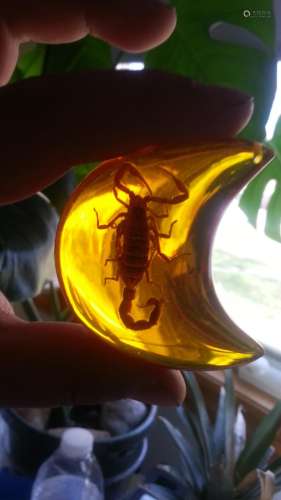 ANTIQUE BUG AMBER necklace