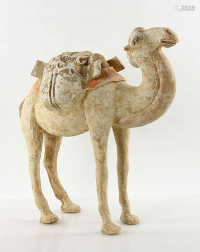 Chinese Tang Dynasty Pottery Camel