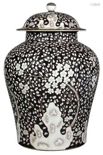 Chinese Black Ground Porcelain Covered Prunus Jar 19th Century