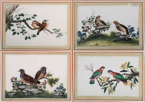 Chinese Export Painting of Exotic Bird Scene - Set of Four