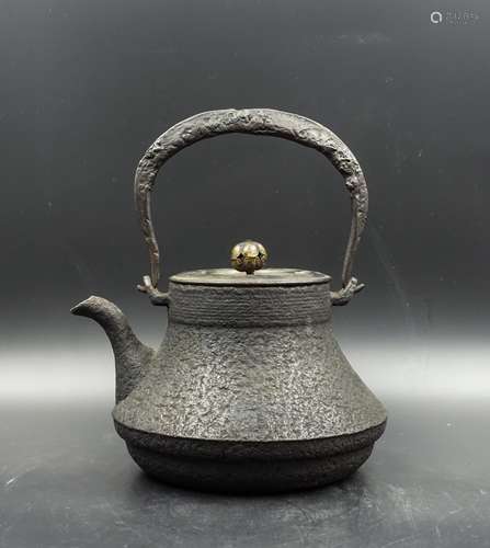 19TH CENTURY JAPANESE IRON TEA POT