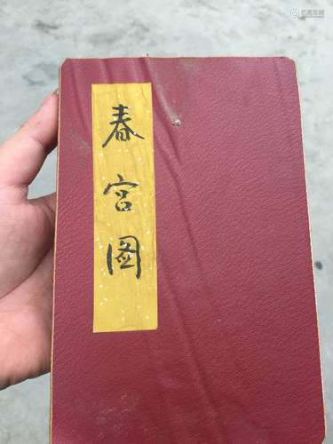 Book of Chinese Love and Sex-No.5