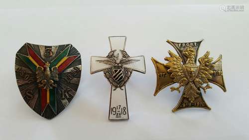 Polish Bronze Enamel Badges 1918-21