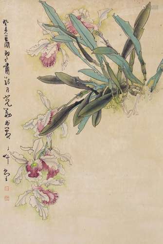 郑乃珖 花卉 立轴 纸本