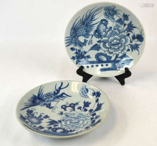 Pair of Chinese Blue & White Porcelain Plates