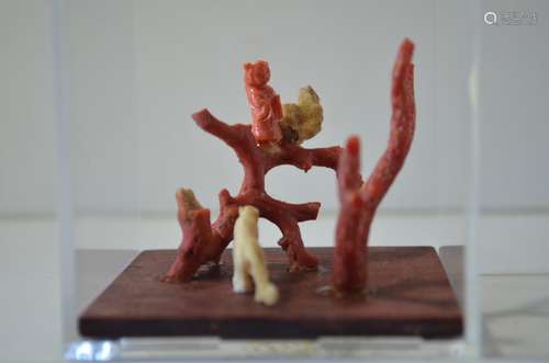 Chinese Coral Carving