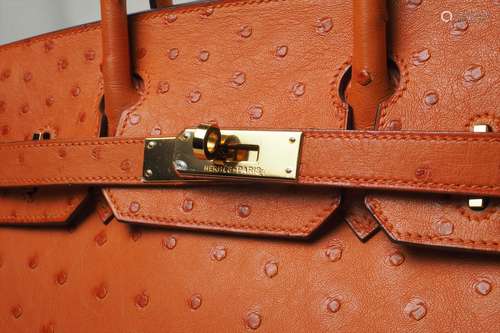 HelmesBirkin 30 Orange Ostrich Bag