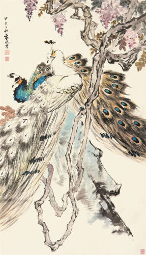 袁晓岑 甲子（1984）年作 孔雀 立轴 设色纸本