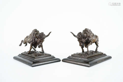 Une paire de buffles en bronze sur socle en bois, 20me