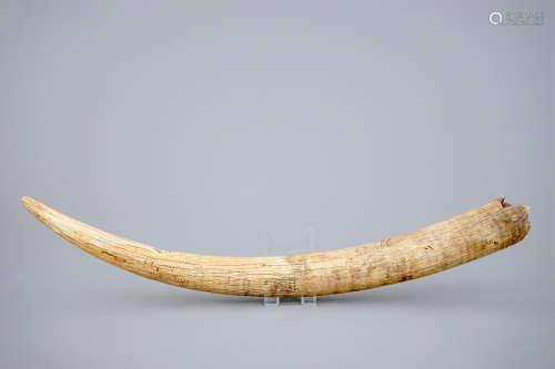 Une trompe africaine en ivoire, premire moitiŽ du 20me