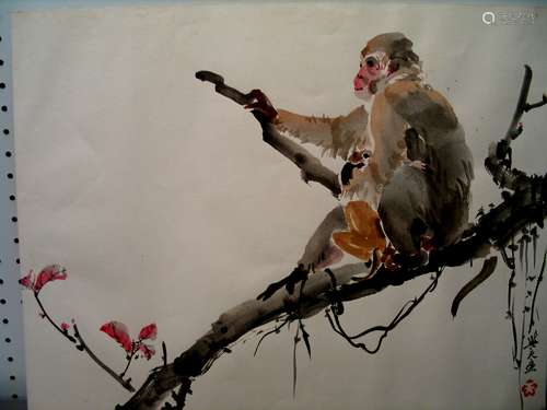 Chinese water color painting on paper of a monkey.