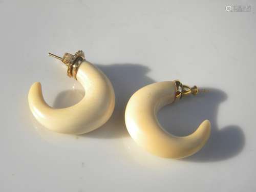 Pair of Earrings