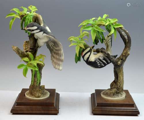 Pair of Porcelain Bird on the Tree with Wood Base