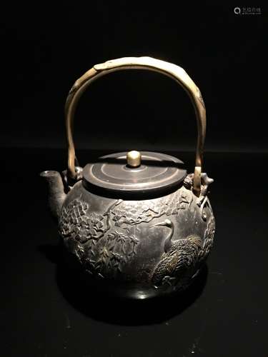 Fine Chinese Cast Iron Teapot