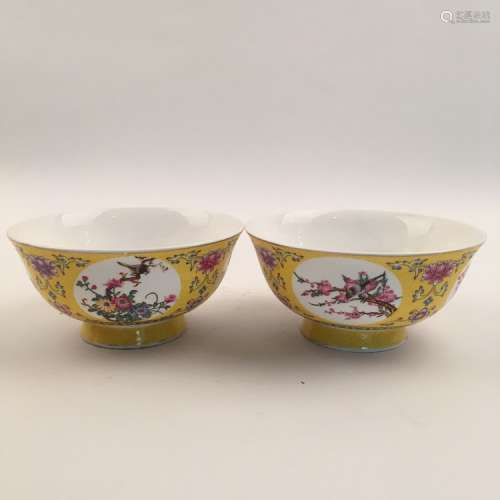 Pair of Chinese Famille Rose Bowl
