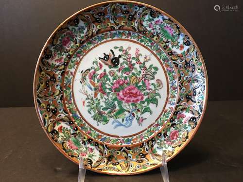 ANTIQUE Chinese Famille Rose Butterfly plate, 19th Century, 8