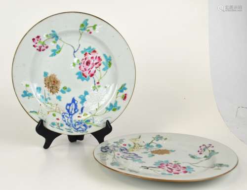 Two Chinese Famille Rose Plates Floral