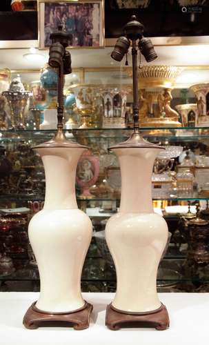 Pair of Chinese Porcelain Table Lamp