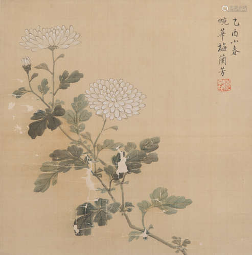 梅兰芳 菊花