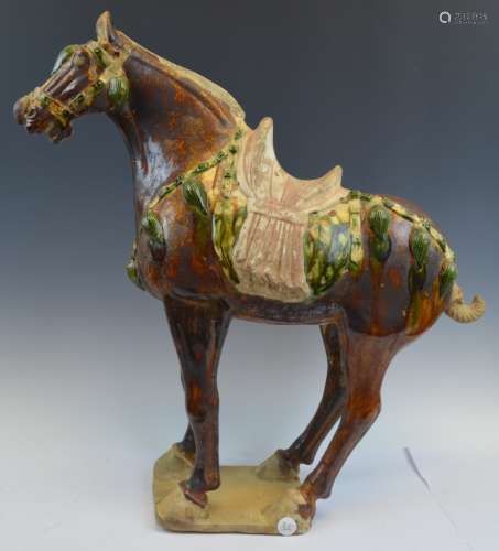 Chinese Tang Dynasty Pottery Horse