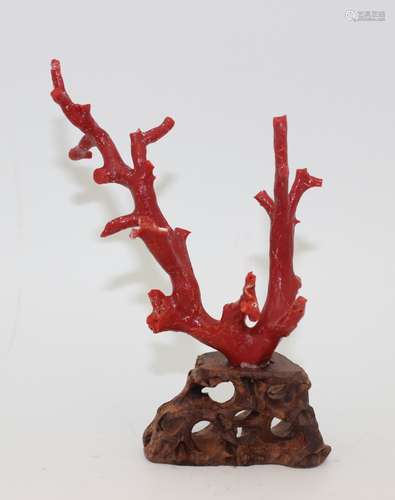 NATURAL RED CORAL BRANCH WITH WOOD BASE