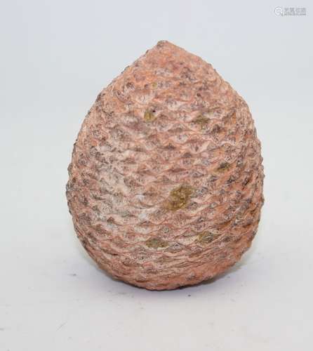 FOSSIL PINE CONE