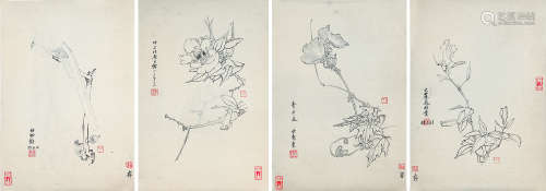 于非闇(1889-1959) 花卉手稿