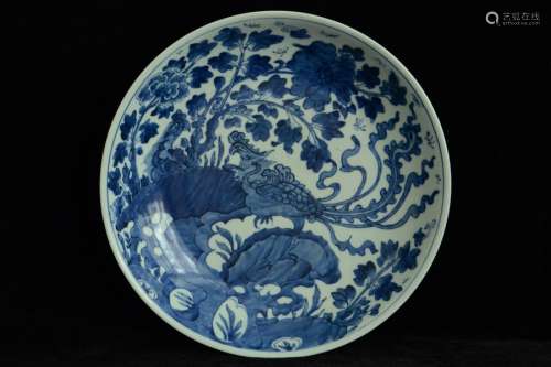 $1 Large Chinese Blue and White Plate Kangxi