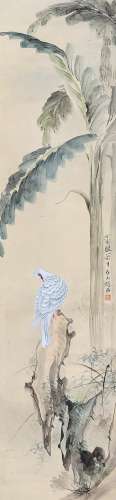 赵浩公 丁亥（1947年）作 白鹦鹉 立轴 设色纸本