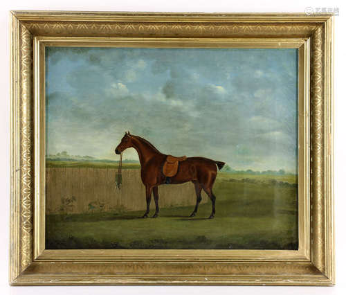 19th C. English Portrait of A Horse, Oil